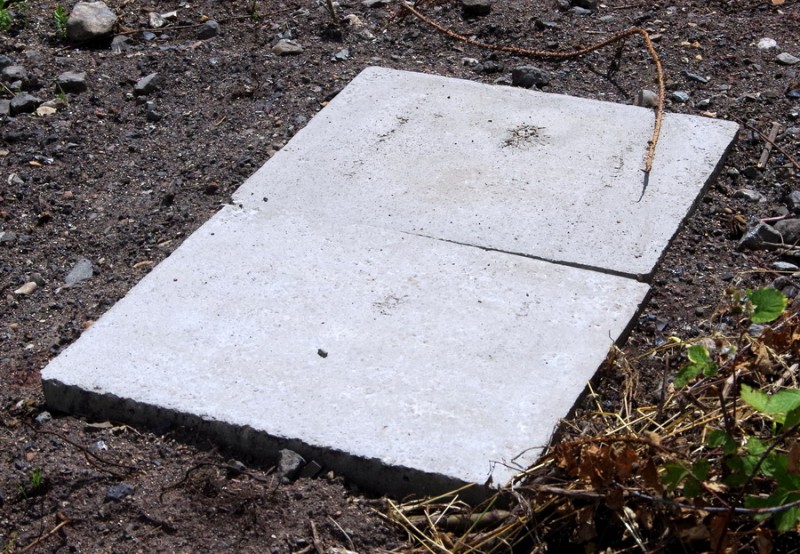 2019-06-21 Essigny-le-Grand (9).jpg (273.68 Kio) Vu 10418 fois 2019-06-21 Essigny-le-Grand (9).jpg