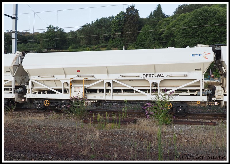 Train de  Dégarnissage à Saint-Sulpice Laurière (12).jpg