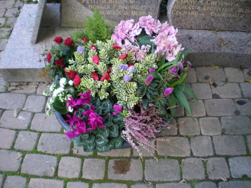 10-10-2019 14-42-03_0001.jpg (310.39 Kio) Vu 7256 fois 10-10-2019 14-42-03_0001.jpg