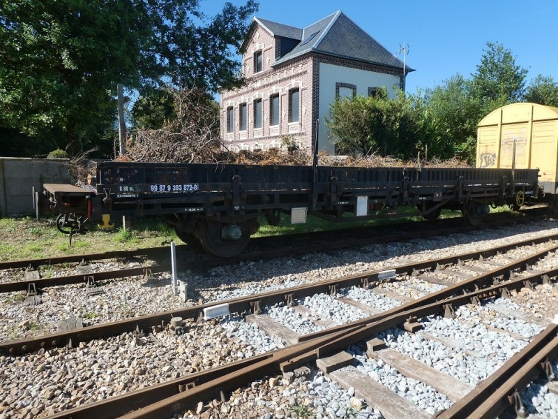P1010402.JPG