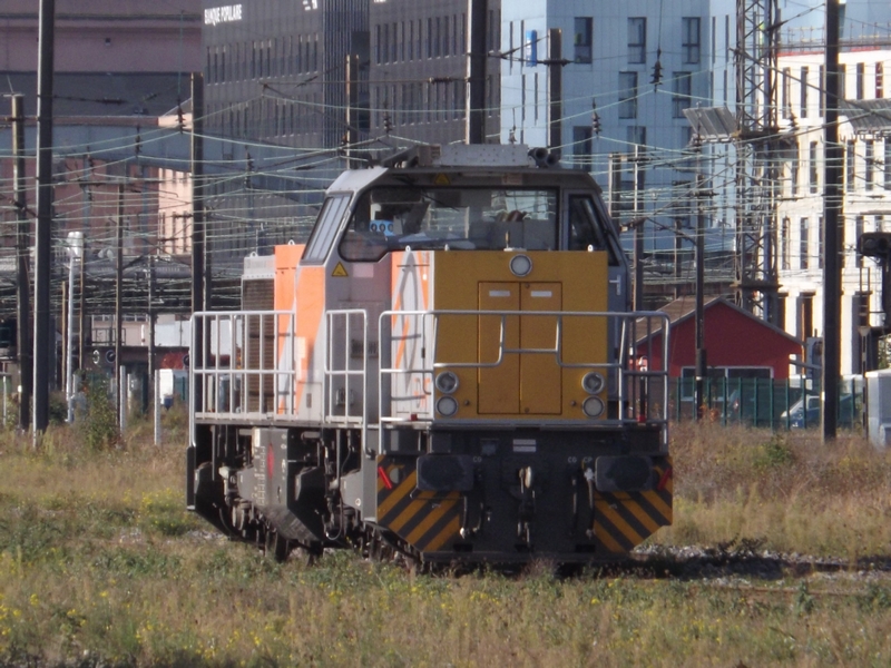 DSCF6980 (Copier).JPG