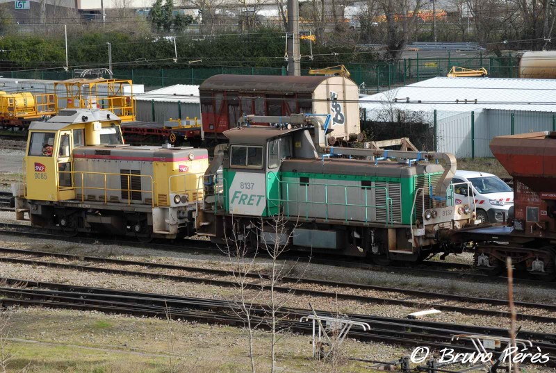 Y 8137 - Infra vert collecteurs (22) (light).JPG