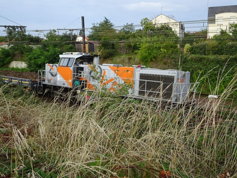 DSC08723R.jpg