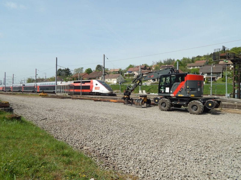 _copie-0_CAT M323F - RH600239 - DVF - CAT 1 (17).jpg