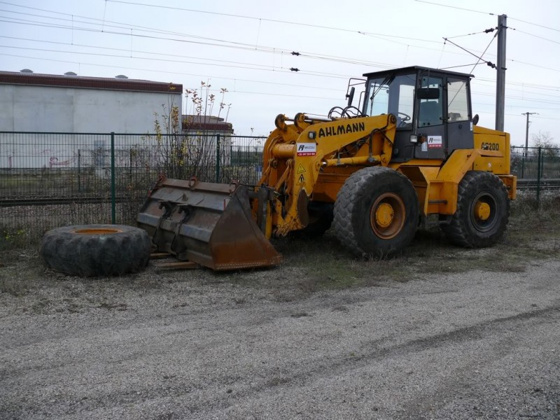 RR-Meccoli-12.jpg