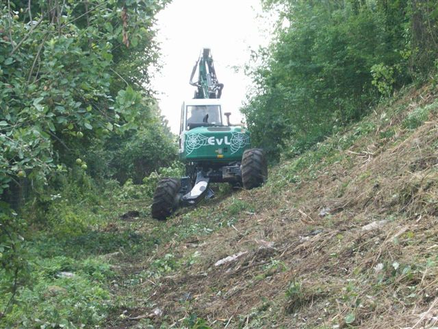 Photo 1 003.jpg
