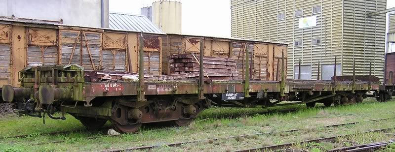 3900085-6.jpg