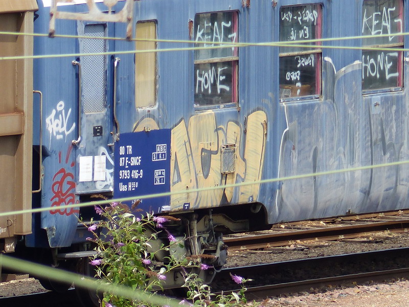80 87 979 3 416-9 Uas H55 0 F SNCF-TR (2014-07-21 SPC) (2).jpg