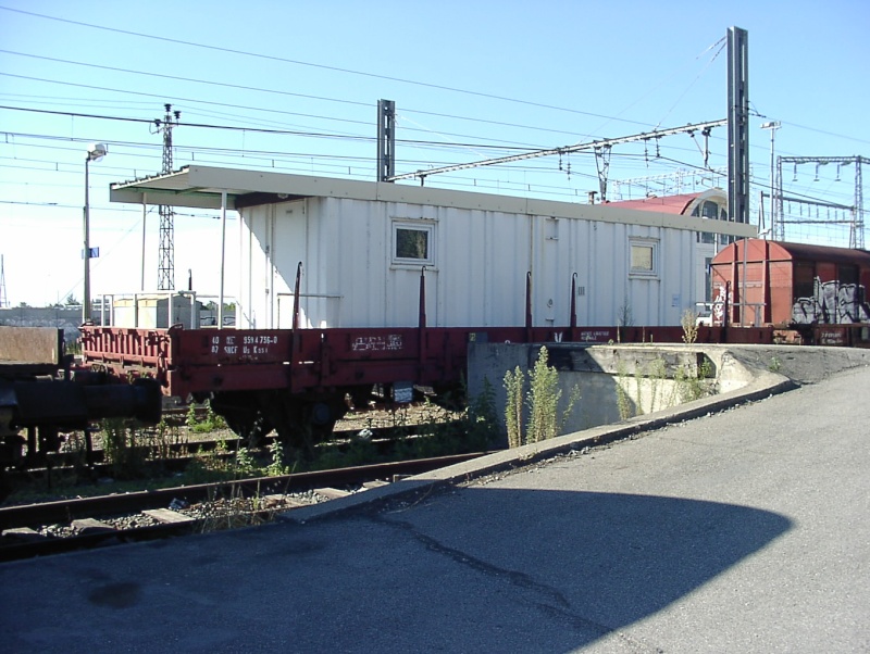 p8110111.jpg