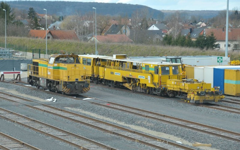MCS_1639.jpg