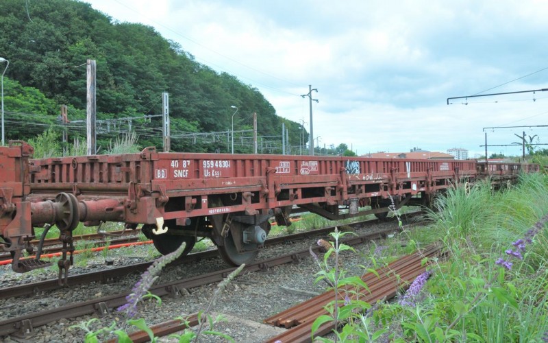 MCS_8390.jpg