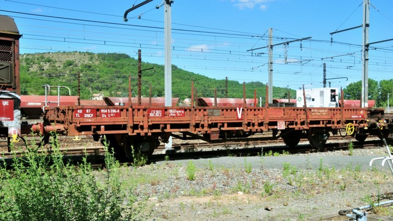 MCS_0700.jpg