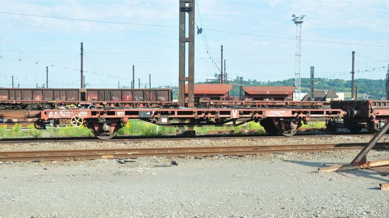 MCS_0344.jpg