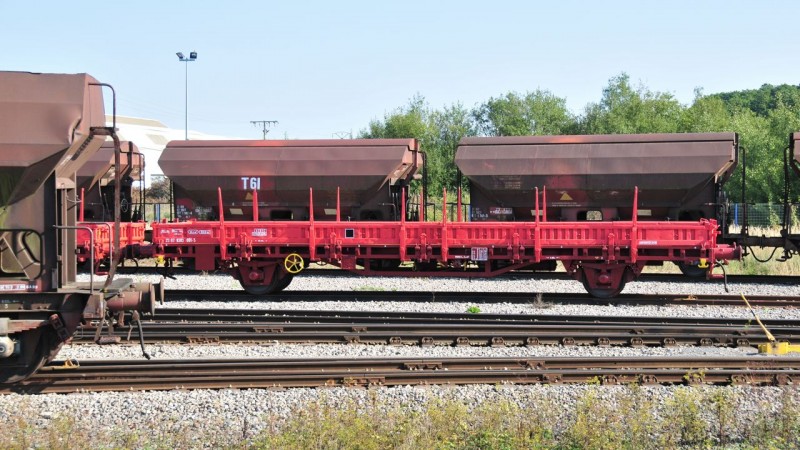 MCS_9252.jpg