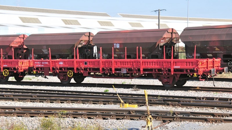 MCS_9247.jpg