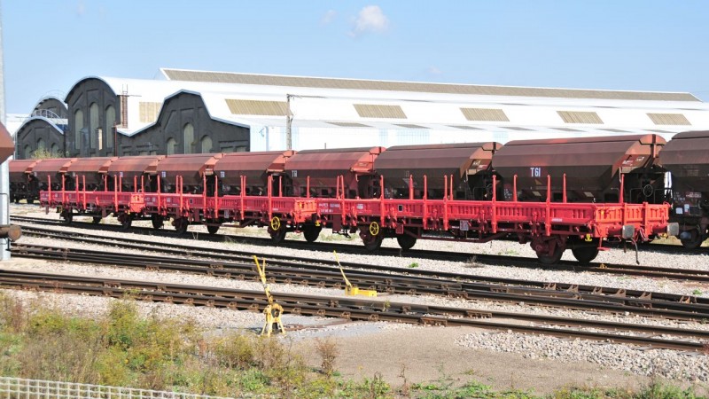 MCS_9251.jpg