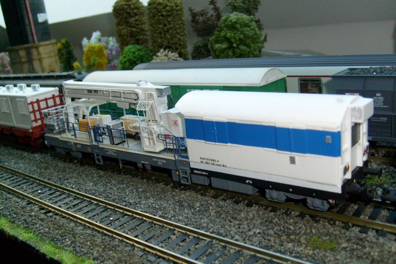 S6301576light.JPG