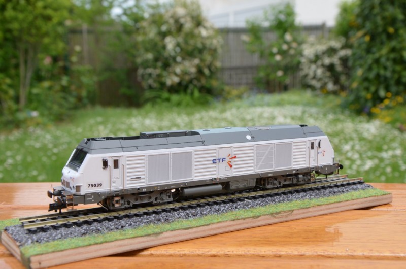 DSC_0009 (Copier).JPG