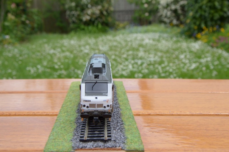 DSC_0010 (Copier).JPG