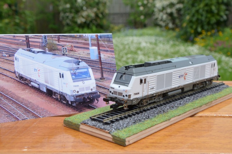 DSC_0011 (Copier).JPG