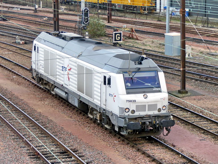 75039 (SPDC 26-11-2014).jpg