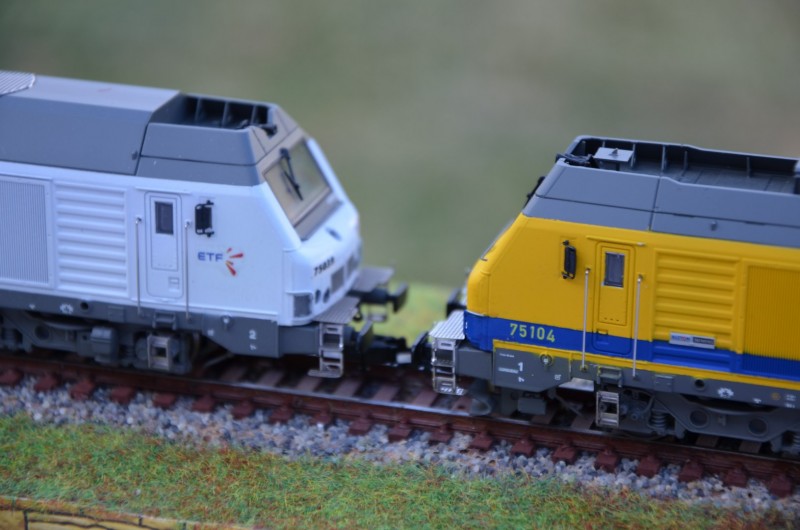 DSC_0013 (4) (Copier).JPG