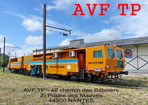 AVF TP (1).jpg