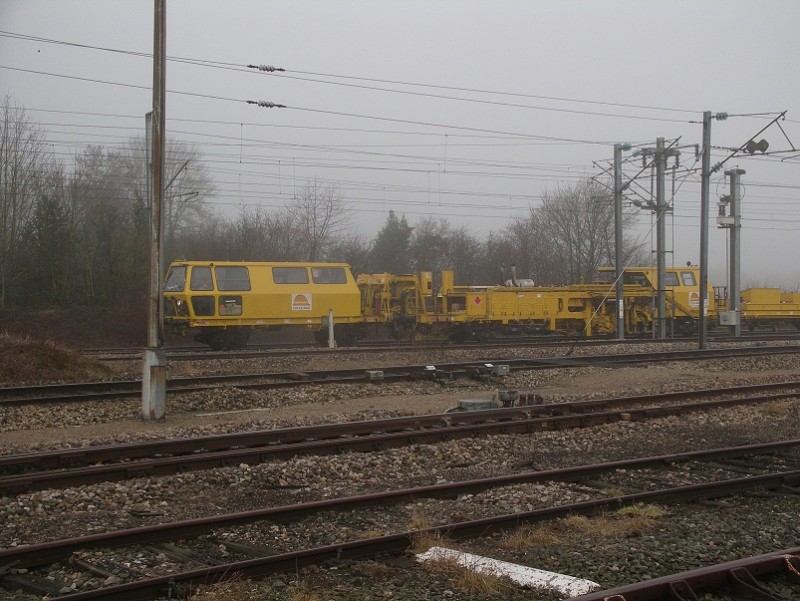 IMGP81677.jpg