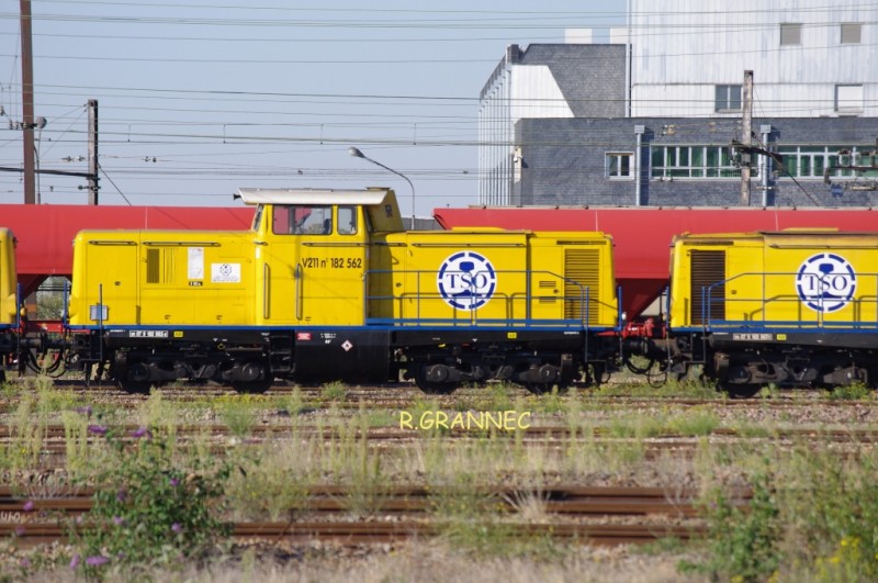 TSO5.jpg