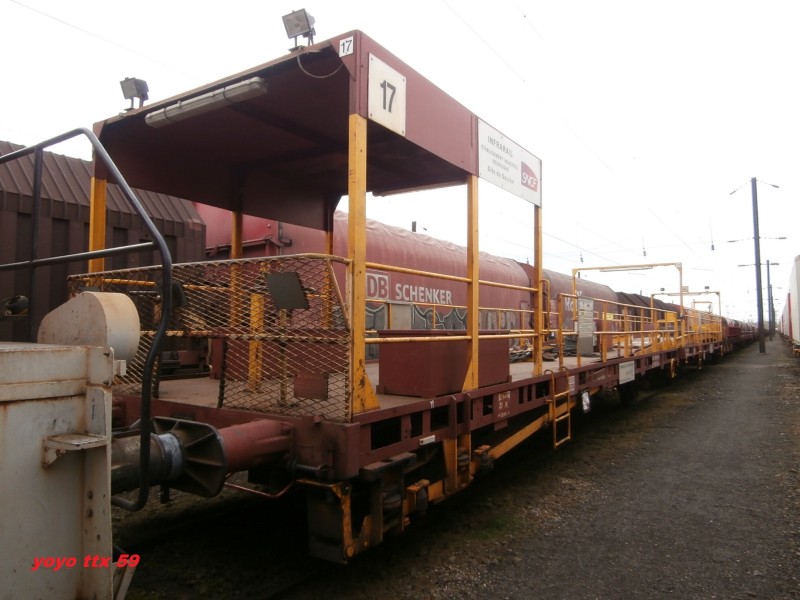 TLRS N° 17=6.JPG