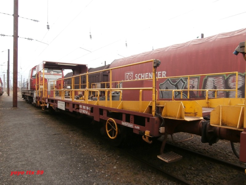 TLRS N° 17=7.JPG