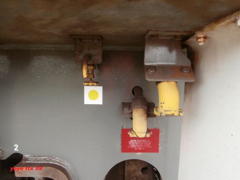 Y 8169=43.JPG