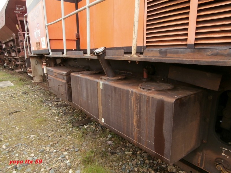 Y 8481=113.JPG