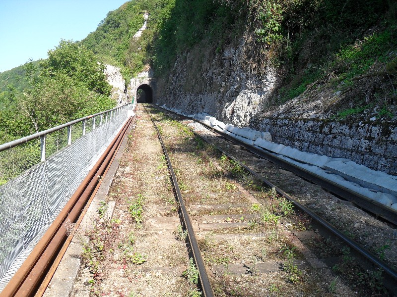 SDC11631.JPG