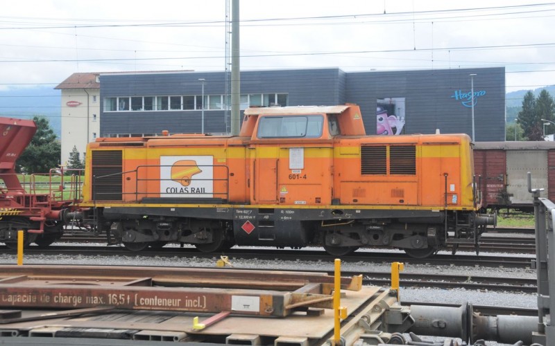 MCS_1385.jpg