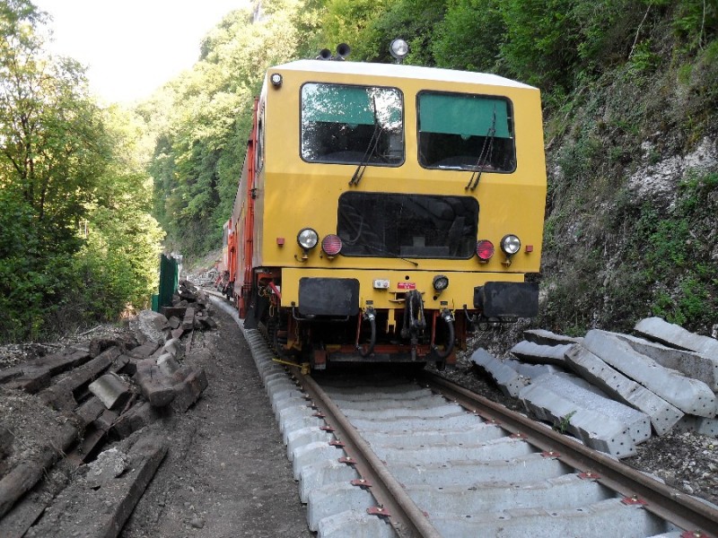 SDC12048.JPG