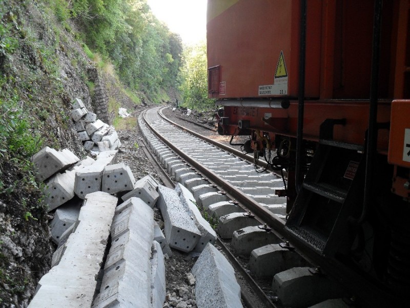 SDC12046.JPG