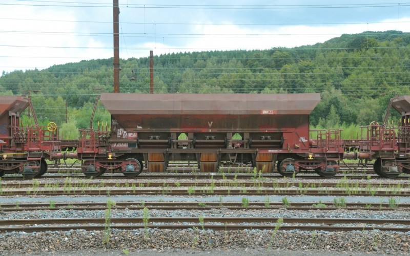 MCS_2833.jpg