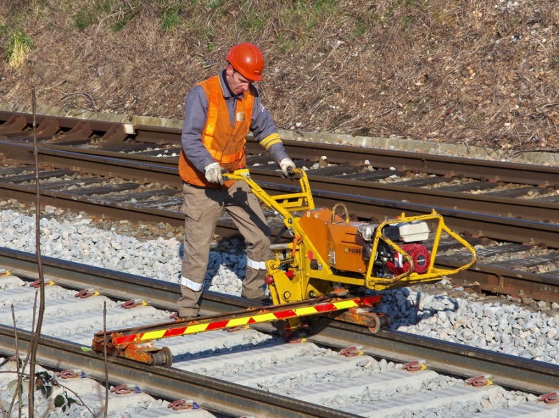 2018-02-22 bif de Jussy (4).jpg (297.76 Kio) Vu 2280 fois 2018-02-22 bif de Jussy (4).jpg