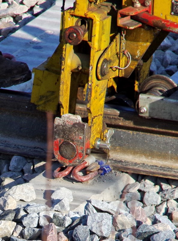 2018-02-22 bif de Jussy (3).jpg (266.99 Kio) Vu 2287 fois 2018-02-22 bif de Jussy (3).jpg