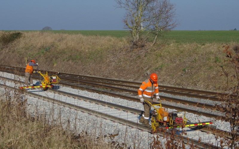 2018-02-22 bif de Jussy (1).jpg (207.54 Kio) Vu 2294 fois 2018-02-22 bif de Jussy (1).jpg