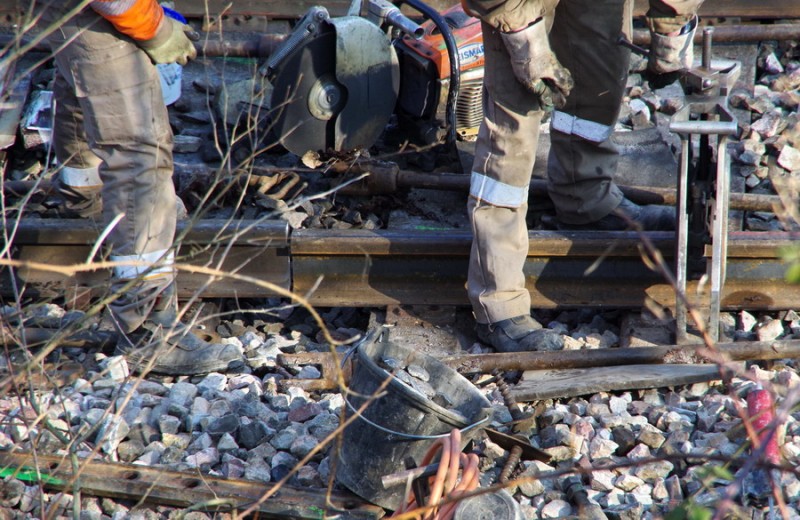 2018-02-22 bif de Jussy (3).jpg (226.33 Kio) Vu 2492 fois 2018-02-22 bif de Jussy (3).jpg