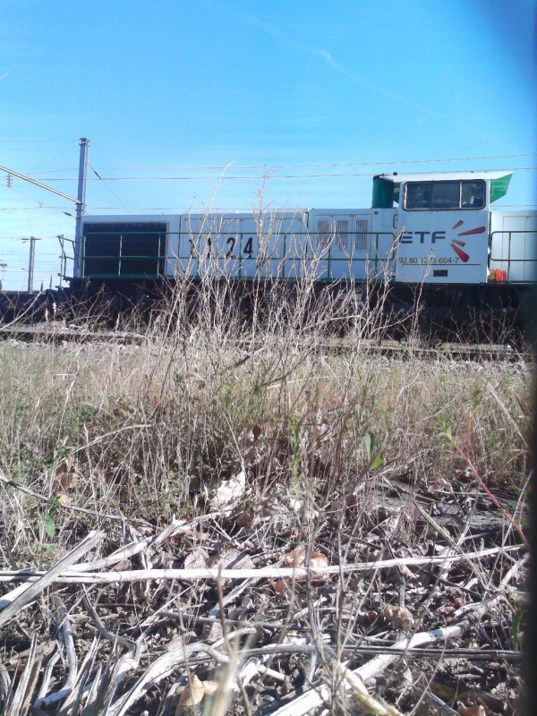 C401.jpg