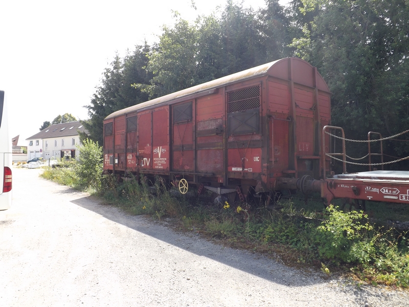 DSCF0178 (Copier).JPG