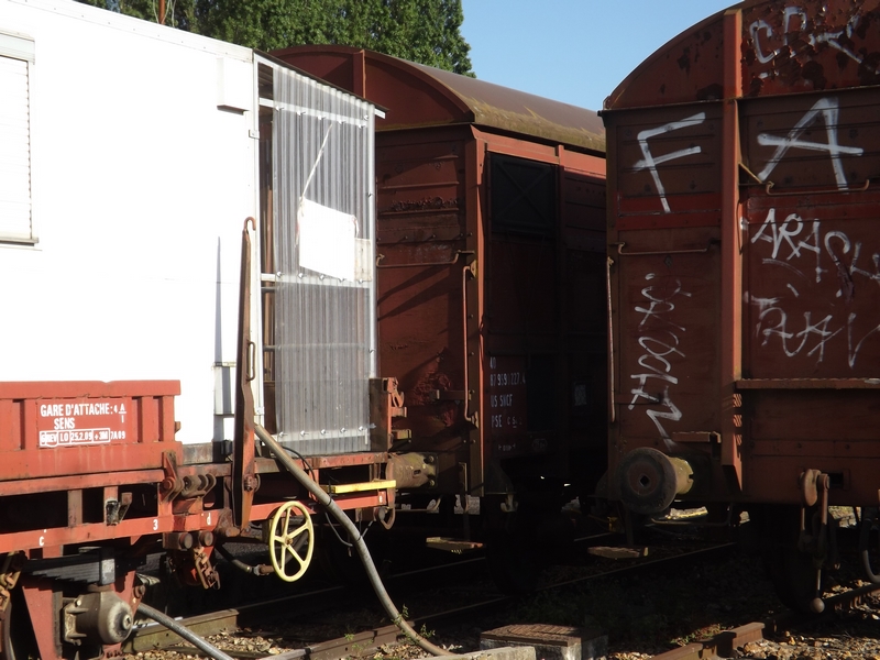 DSCF9427 (Copier).JPG