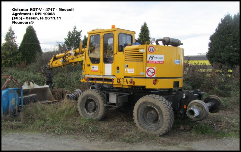 KGTV_4717_Meccoli.jpg