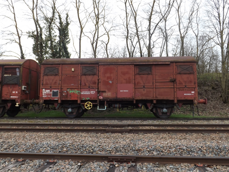 DSCF4966 (Copier).JPG