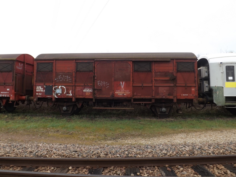 DSCF4974 (Copier).JPG