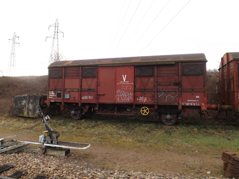 DSCF4977 (Copier).JPG