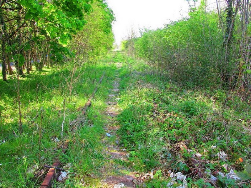 (104) Aire repos RD 943 Bridoré (Indre et Loire) direction Loches.jpg (395.19 Kio) Vu 11114 fois (104) Aire repos RD 943 Bridoré (Indre et Loire) direction Loches.jpg